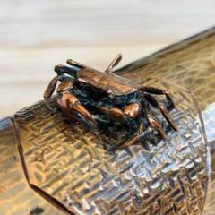 中国美術 明州越窯青磁 蟹 飾り壺 カニ 花瓶 花器 花入 青磁器 古美術品 中国美術 明州越窯青磁 蟹 飾り壺 カニ 花瓶 花器 花入 青