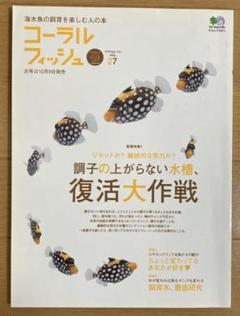 コーラルフィッシュ VOL.27 熱帯魚　アクアリウム