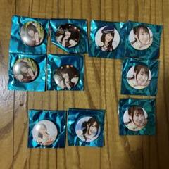 水樹奈々 缶バッジ 生写真 非売品 まとめ売りセット8点