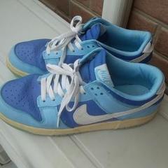 NIKE ナイキ スニーカーsb dunk low sp ダンク26