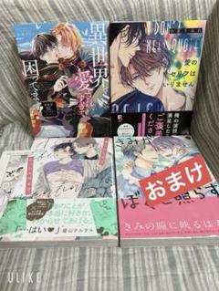 BL漫画 まとめ売り 41冊セット ① 2025年最新】BL漫画 - 人気作品が勢ぞろい！充実の商品