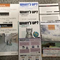 WHAT'S UP? for SDG&OKINAWA&耳で読むFlanders