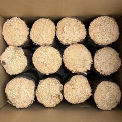 【送料無料】 産卵木　コナラ　ほだ木 クワガタ　カブトムシ　22本入り 送料無料】 産卵木 完熟 コナラ ほだ木 クワガタ カブトムシ 12