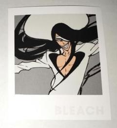 【即購入可】ブリーチ BLEACH ランドマーク ポートレート A 新品未開封 m29117007739_1.jpg?1717068103
