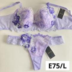 サルート E75 ソング M サルート 08グループ 中国音楽 E75&ソングM KO 店舗限定プライム