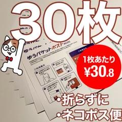 30枚）ゆうパケットポストmini 専用封筒 _2032のサムネイル