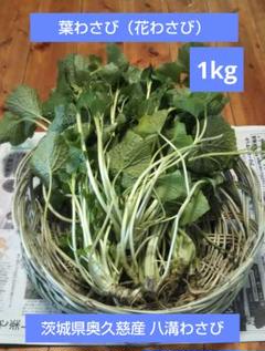 楽天市場】花山葵〈ハナワサビ〉1ケース、20パック前後、1Kg