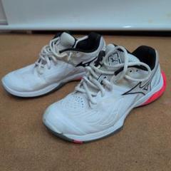 24.0㎝　ウエーブファング2FIT　新品未使用　MIZUNO　シューズ ウエーブファング2 FIT(バドミントン)|71GA2312|シューズ