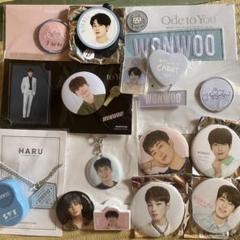 SEVENTEEN ウォヌ グッズまとめ売りセット うちわ SEVENTEEN WONWOO HARUうちわ 2本セット ウォヌ セブチ - メルカリ