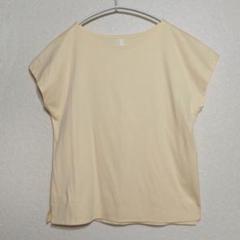 新品 ディニテコリエ Tシャツ フレンチ コットン100％ 日本製
