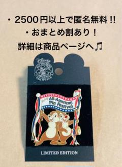 2723.昔の海外ディズニーランドアナハイムキャストピン