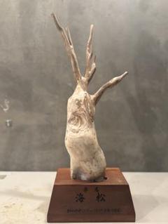 海松(白珊瑚) 工芸素材としても充分な品質 海松(白珊瑚) 工芸素材としても充分な品質
