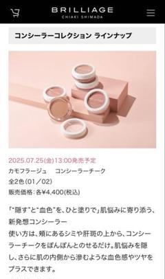 新品未使用　ブリリアージュ　新感覚 コンシーラーチーク01 02セット CONCEALER CHEEK – BRILLIAGE