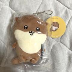 ナガノのカワウソ ぬいぐるみくじ B賞 Ｃ賞 Ｄ賞 まとめ売り ナガノのカワウソ ぬいぐるみくじ B賞 C賞 D賞 まとめ売り
