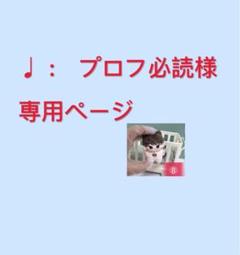 ♡Ultraviolet♡プロフ必読 ♩ : プロフ必読様専用ページ - メルカリ