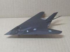 F117ステルス攻撃機(82-0806)　被撃墜機破片？ 1/144 模型付き F117ステルス攻撃機(82-0806) 被撃墜機破片？ 1/144 模型付き