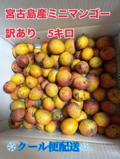 ※訳あり　説明欄必読！宮古島産ミニマンゴー 5キロ 訳あり プロフ必読！宮古島産 ミニマンゴー 5キロ - メルカリ