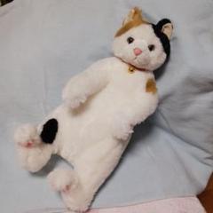 カドリー　Cuddly ぬいぐるみ　三毛猫　小春