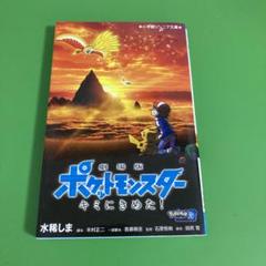 2025年最新】劇場版ポケットモンスターキミにきめたの人気