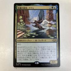 EDH 有翼の叡智、ナドゥ 必須パーツ 13枚セット cEDHキャラ対講座 《有翼の叡智、ナドゥ/Nadu, Winged Wisdom