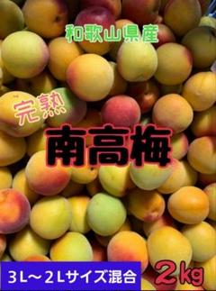 和歌山県産　完熟南高梅‼️L～Ｍサイズ混合‼️6kg　みかんキング 2025年最新】みかんキングの人気アイテム - メルカリ