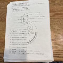 浜学園 小6 理科 復テ 27〜39 13回分 - メルカリ