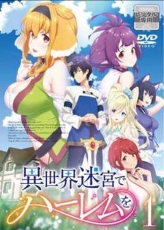 2025年最新】異世界迷宮でハーレムを dvdの人気アイテム - メルカリ