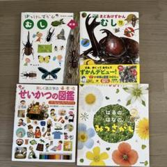 はっけんずかん、まどあけずかんむし等4冊セット！夏休みに！
