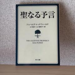 2025年最新】聖なる予言 本の人気アイテム - メルカリ