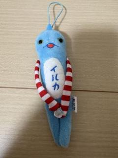イルカ