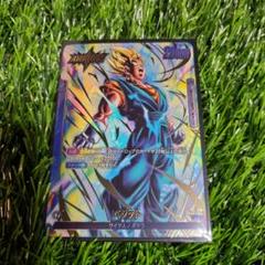 ベジット リーダーパラレルとノーマルリーダー ベジット リーダーパラレル