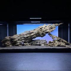 2025年最新】マシンガンウッドの人気アイテム - メルカリ