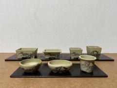 小品盆栽　山野草　サボテン植物　鉢6個組み　陶悦、丸藤他 楽天市場】信楽焼 植木鉢 陶器 おしゃれ 山草鉢 フラワーポット
