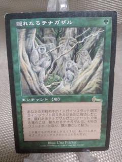 【ご確認用】ウルザズ・レガシー 隠れたるテナガザルb 日本語 1枚　MTG ご確認用】ウルザズ・レガシー 隠れたるテナガザルb 日本語 1枚
