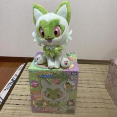d⭕️⭕️ポケモン⭕️⭕️　なでてみつめてぱちくりニャオハ ポケモン なでてみつめて ぱちくりニャオハ - YouTube