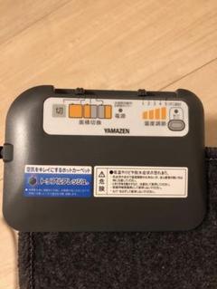 ポッキー様専用 美品✨『空気をキレイにするホットカーペット』2畳