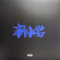 新品未使用 ZORN 新小岩 2LP