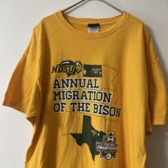 2019L海外古着メンズヴィンテージアメフトチャンピオンTシャツUSA直輸入