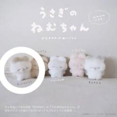 2025年最新】うさぎのねむちゃんの人気アイテム - メルカリ