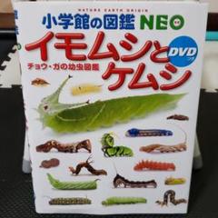 イモムシとケムシ チョウ ガの幼虫図鑑の中古 未使用品を探そう メルカリ イモムシとケムシ チョウ ガの幼虫図鑑の中古 未使用品を探そう メルカリ
