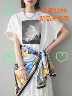 ⭐︎TシャツSALE⭐︎【新品】lumier フォトビッグTシャツ ②