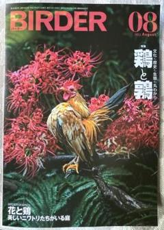 BIRDER バーダー 2025年　8月号