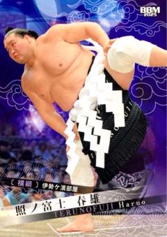 メル55507です。照ノ富士 照ノ富士 春雄 - 力士プロフィール - 日本相撲協会公式サイト