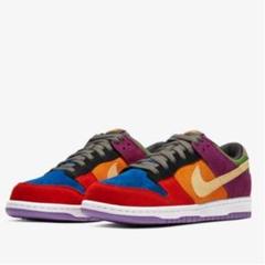 NIKE DUNK LOW SP VIOTECH 2019 28cm