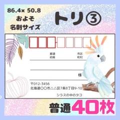 【トリ③】宛名シール　差出人シール　普通サイズ　40枚　シンプル　鳥　オウム