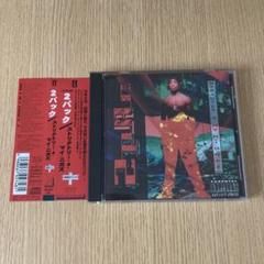 2PAC STRICTLY 4 MY N.I.G.G.A.Z 2パック 国内盤