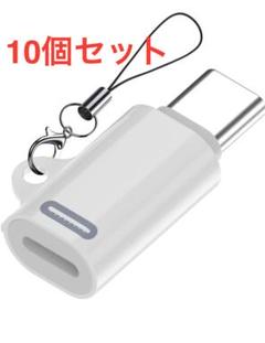 変換アダプタ ライトニング to Type C PD35W急速充電　10個セット