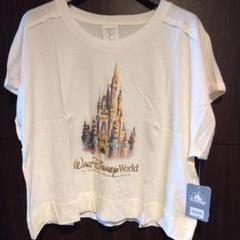 送料無料◆2025新品  2025年最新】ディズニーワールド 50周年tシャツの人気アイテム トップス