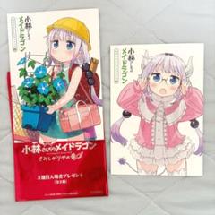 小林さんちのメイドラゴン さみしがりやの竜 3週目特典 コンプリートセット