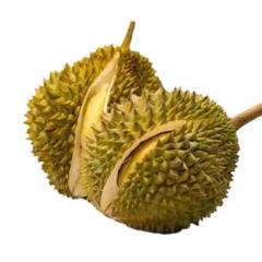 5-6kg （2-3玉）タイ産新鮮ドリアン モーントーン 金枕榴莲 数量限定特売』5-6kg （2-3玉）タイ産ドリアン モーントーン 金
